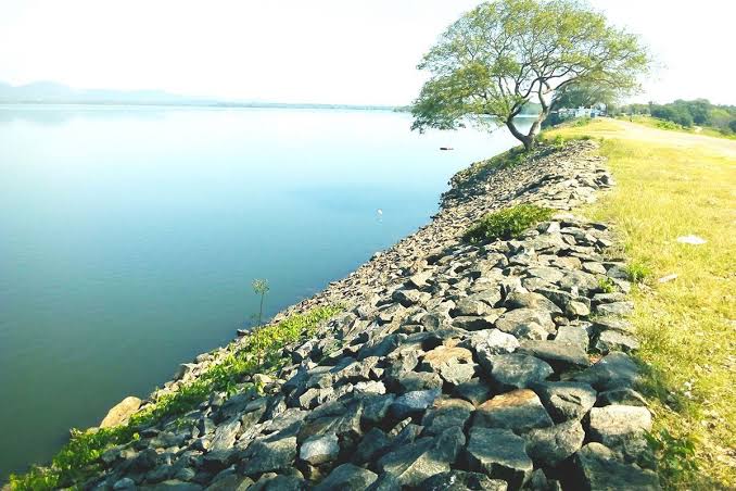 Minneriya Reservoir Landscape
