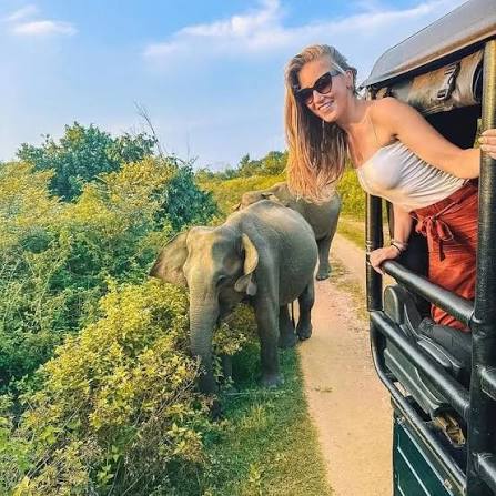 Minneriya 4x4 Safari Experience