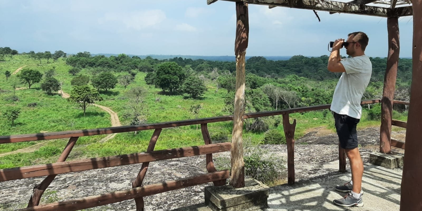 Morning Safari