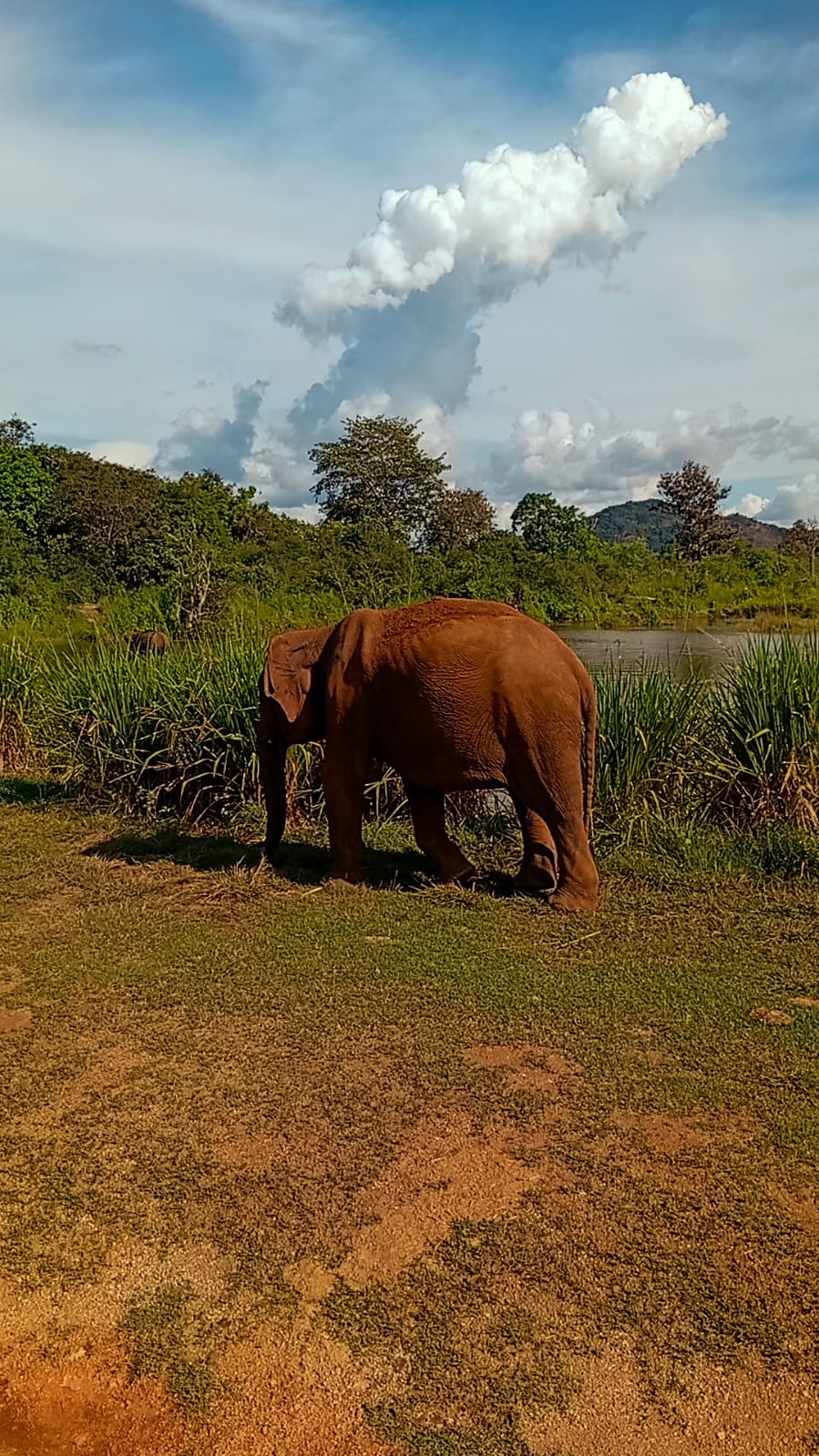 Guided National Park Tour