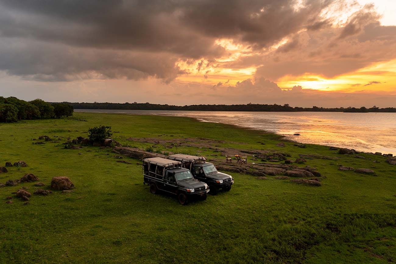 Sri Lanka Elephant Gathering Safari